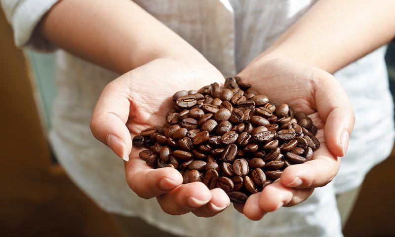 经典香水怎么选最好用女士,经典大牌香水哪款好用