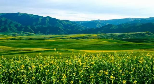 五一出游小短文,五一放假能在疆内游玩吗