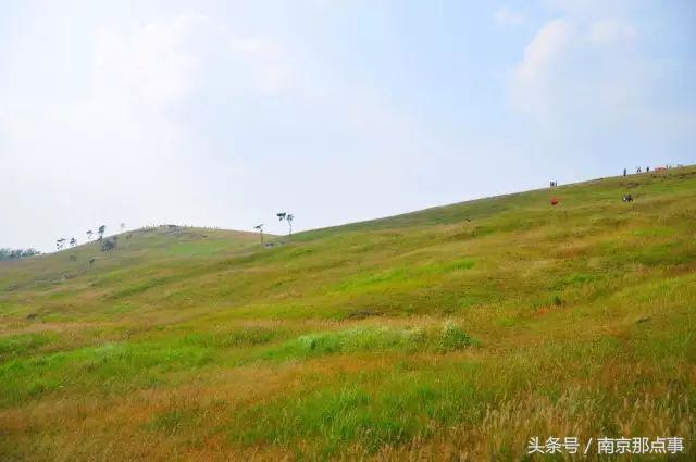 适合南京一日游的三十项免费景点,南京值得打卡的小众景点