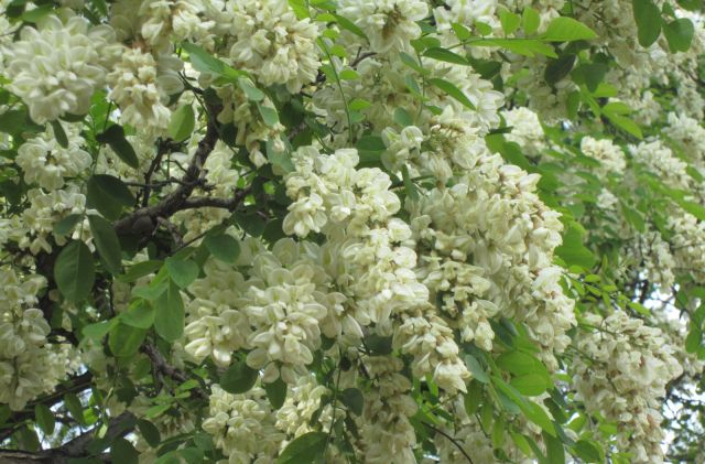 西安周边城市绝美景色旅游地点,西安出发五一4天自驾游路线推荐