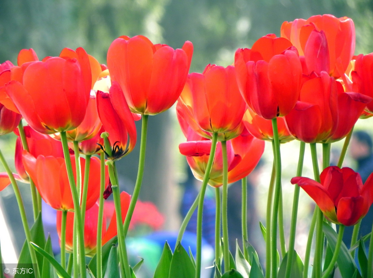 生活语录相册,生活感悟相册