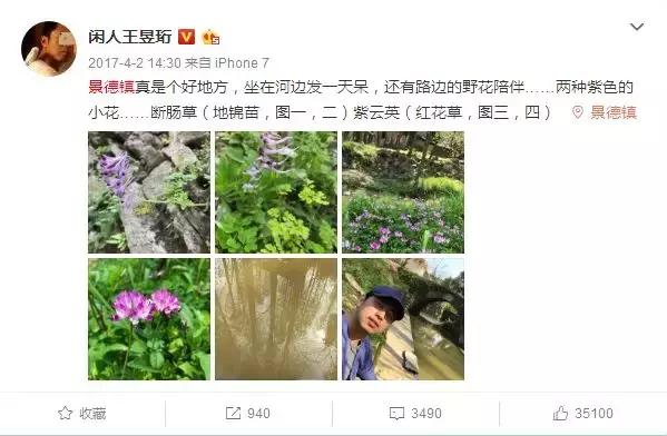 这座小城究竟有何神秘之处，竟然征服了80后最强大脑“水哥”