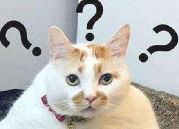 iphone6现在值得买吗,2021年买iphone6还值不值得入手