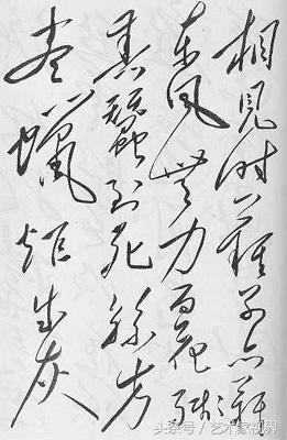 二十世纪最杰出的书法家之一——毛主席书法艺术品鉴