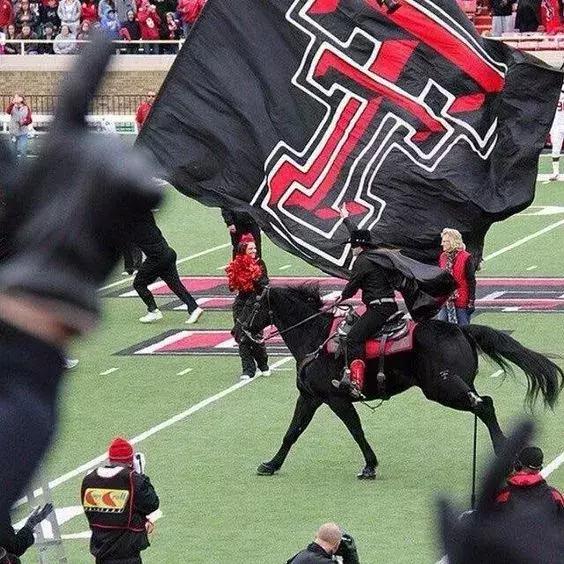 蒙面骑马骑士视频,蒙面骑士闯进将军宴会视频