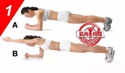 女生腹肌马甲线人鱼线,人鱼线和马甲线女图片