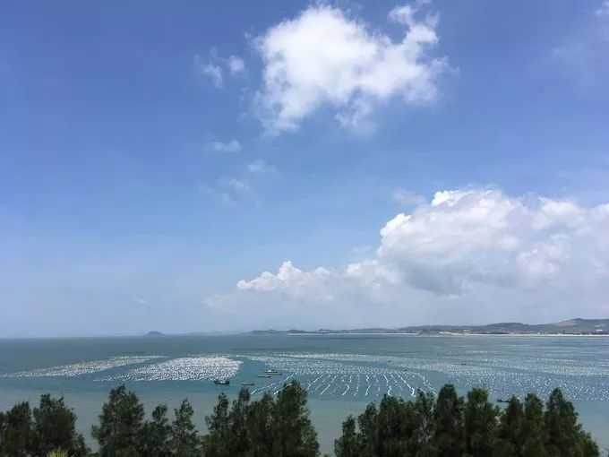 离厦门200公里的城市,离厦门十来分钟的小城