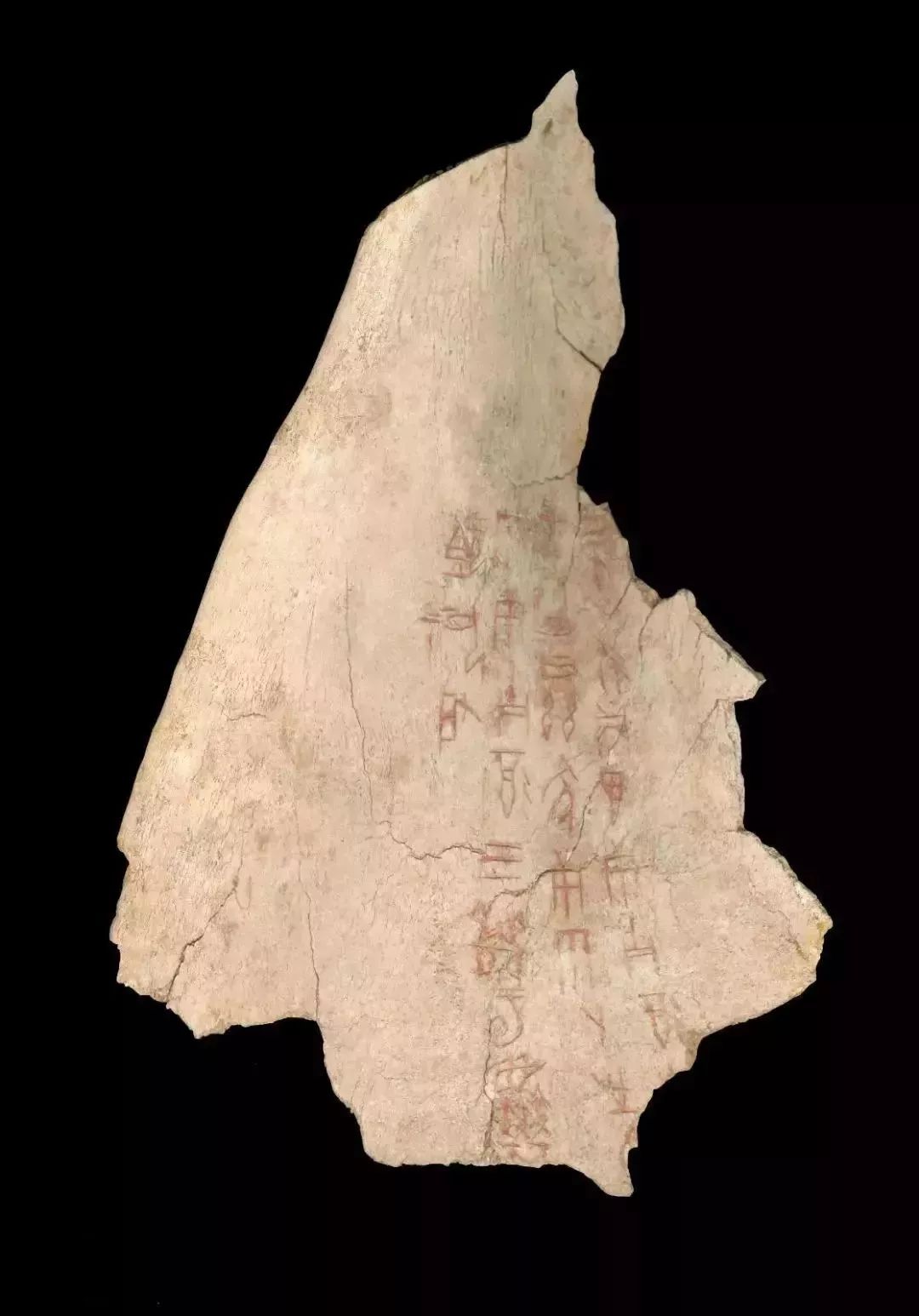 北大生日快乐 (北大生日会)