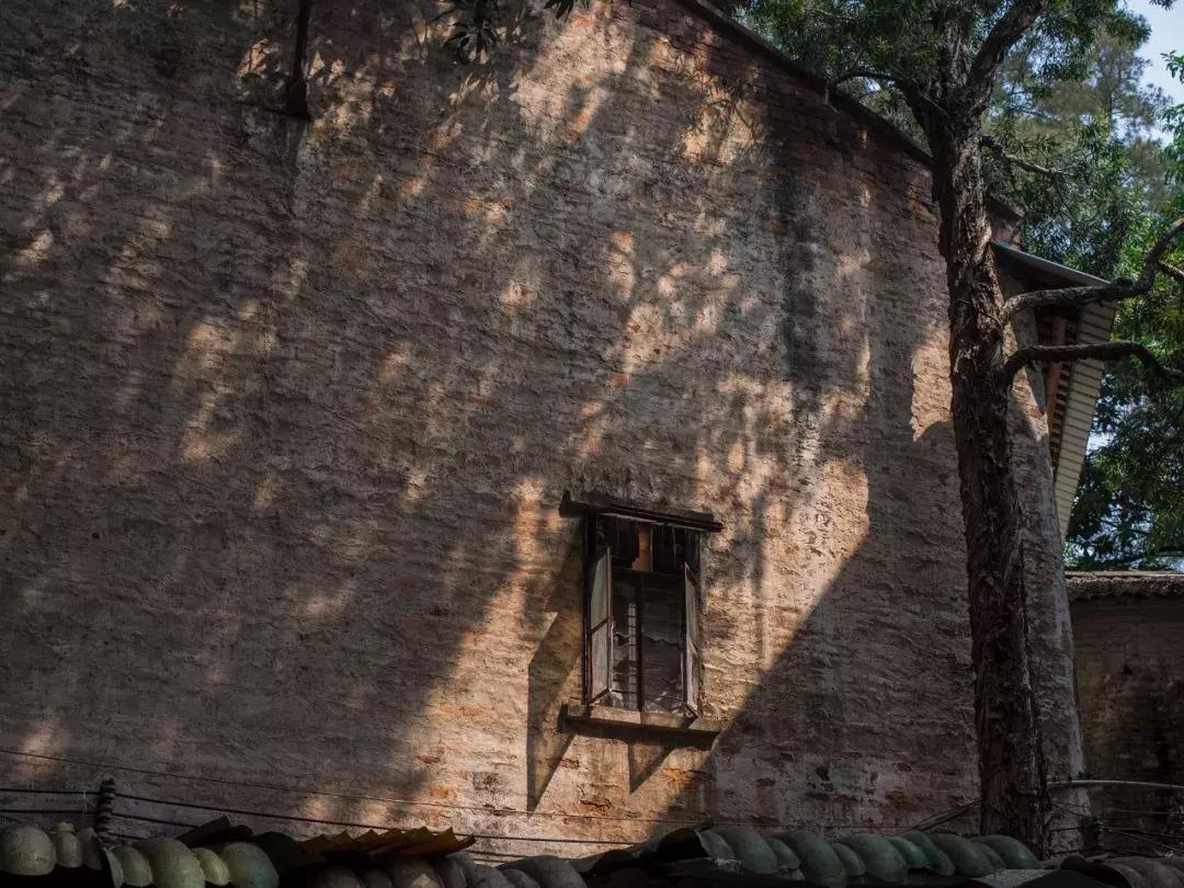 奥林巴斯epl9什么时候发布的,用颜值说话奥林巴斯e-pl9评测