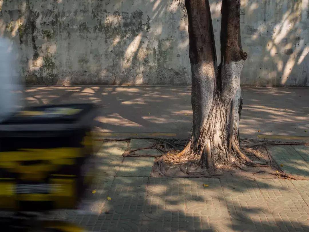 奥林巴斯e-pl9拍摄视频,奥林巴斯e-pl7镜头