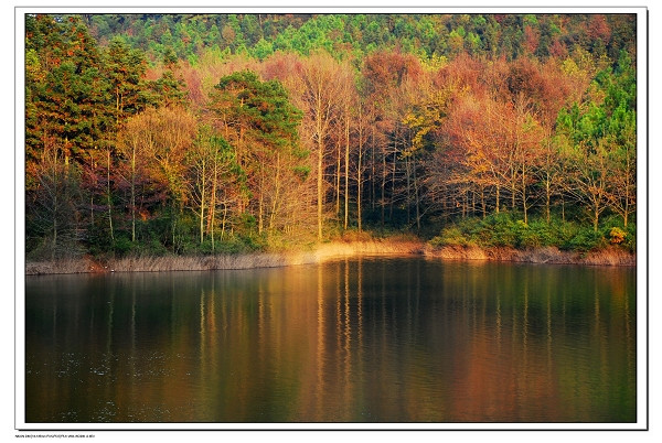 浙江杭州余杭区位置,浙江杭州余杭区地图