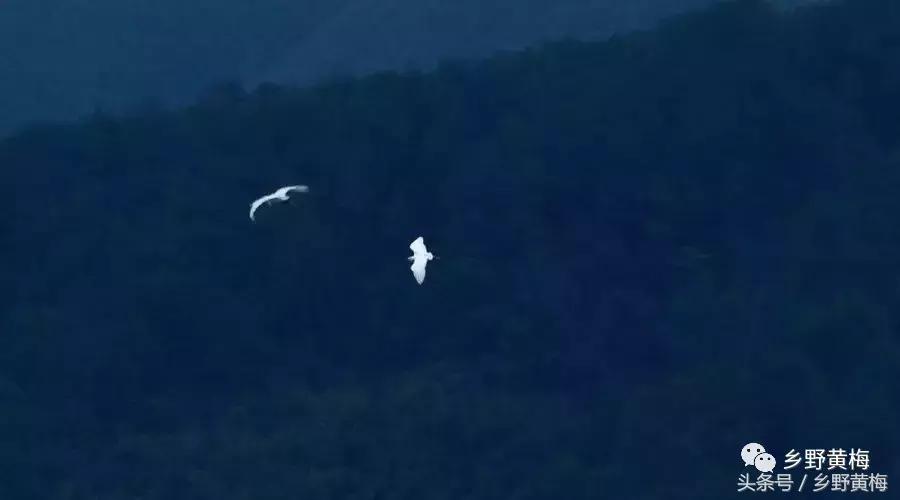 愿有岁月可回首宋亚轩,愿有岁月可回首录制