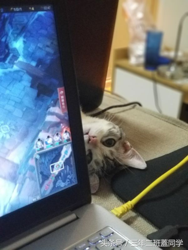 好羞耻，但是好想进去呢