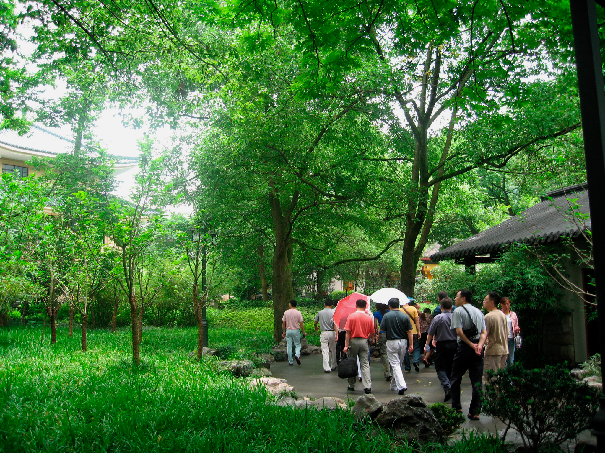 一个四川人的旅行,杭州西湖印象怎么样