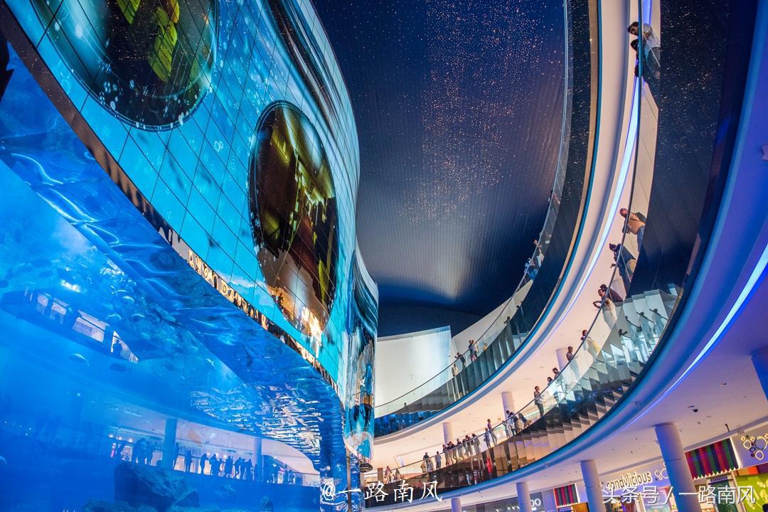 阿拉伯人在沙漠的生活,阿拉伯人在沙漠旅行