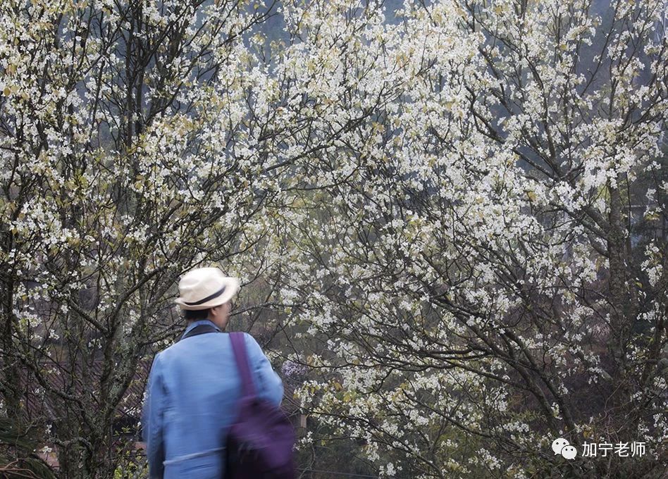 辟谣考研的5大谣言千万别轻信,考研十大谣言都有哪些