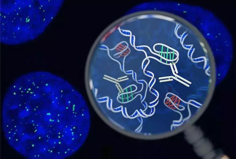 超越双螺旋,超越三体人的存在