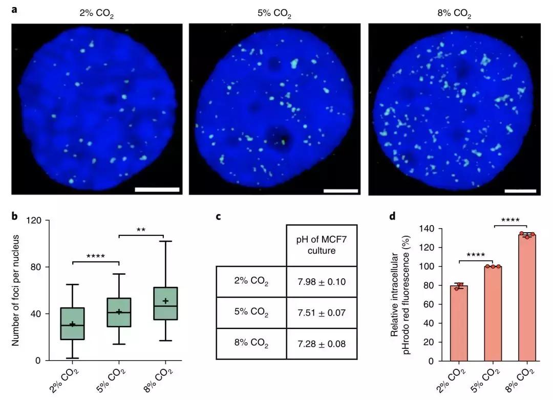 超越双螺旋,超越三体人的存在