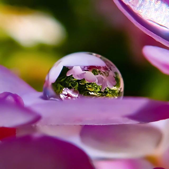 情感咨询｜栗子姐每日情感问答（0506）