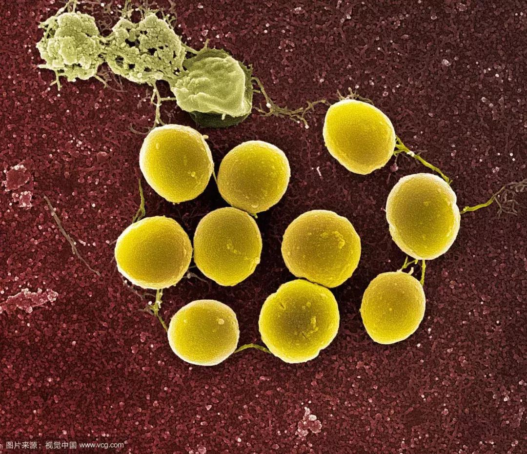 湿疹治疗用生物制剂怎样,湿疹能彻底治断根吗用什么