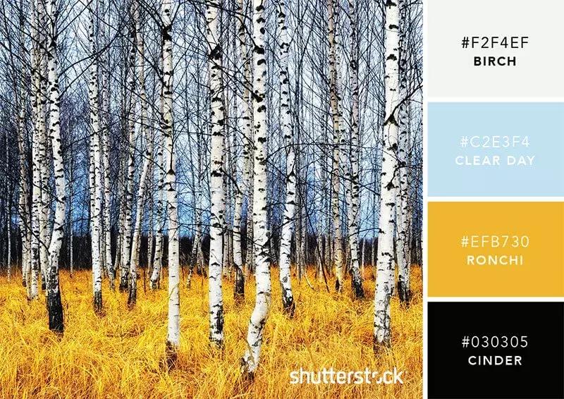 相见恨晚的色彩搭配,两种好看的颜色搭配