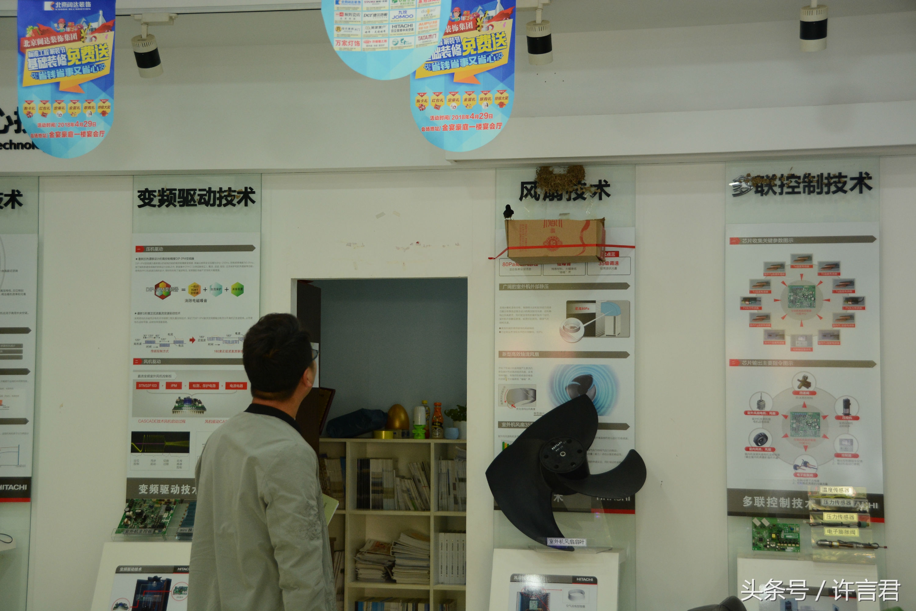 燕子在店铺内安家，老板和员工一起给燕子帮忙