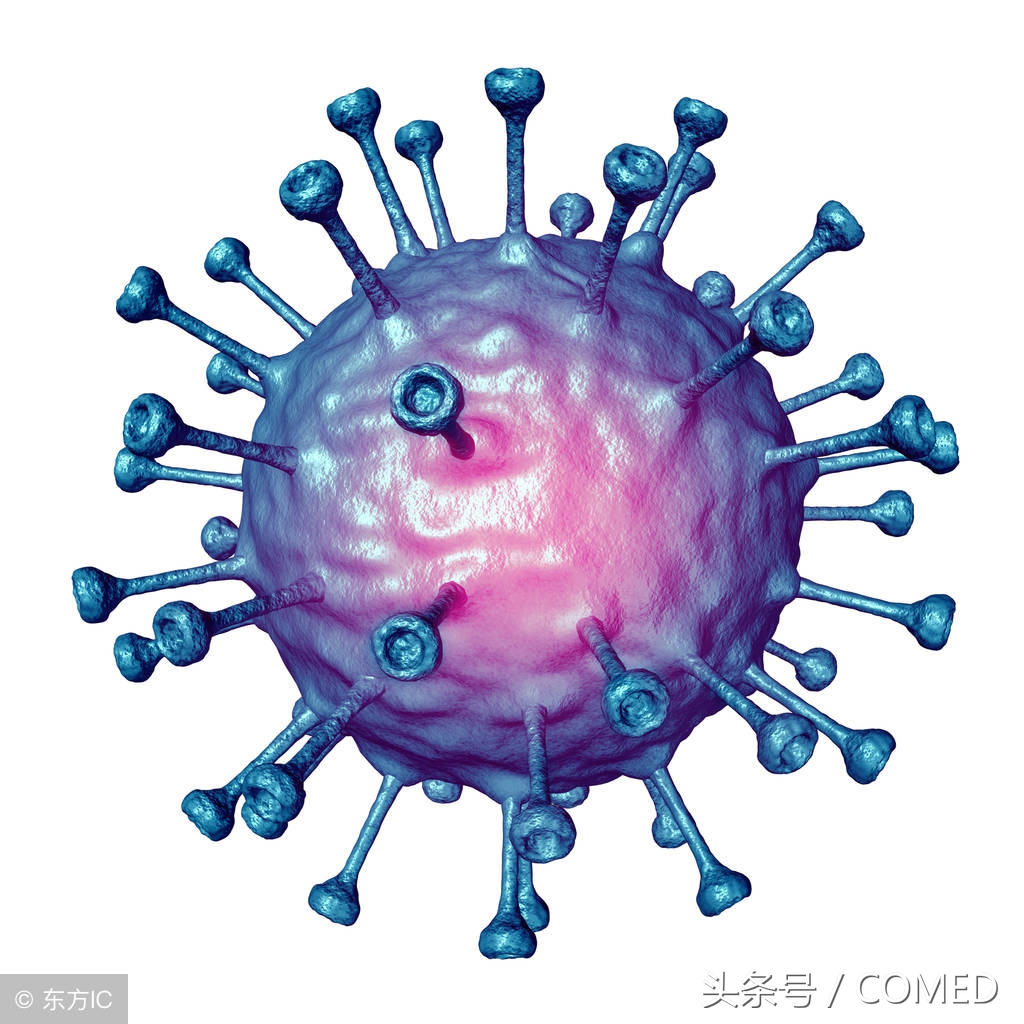 北京大学人民医院张乐萍：CAR-T让难治复发儿童白血病患者有盼头