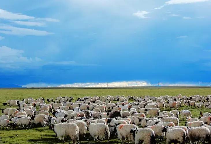 一错再错纳木错,纳木错一错再错