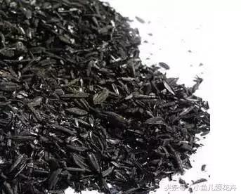 新手养肉肉最好用什么土,新手养肉配土