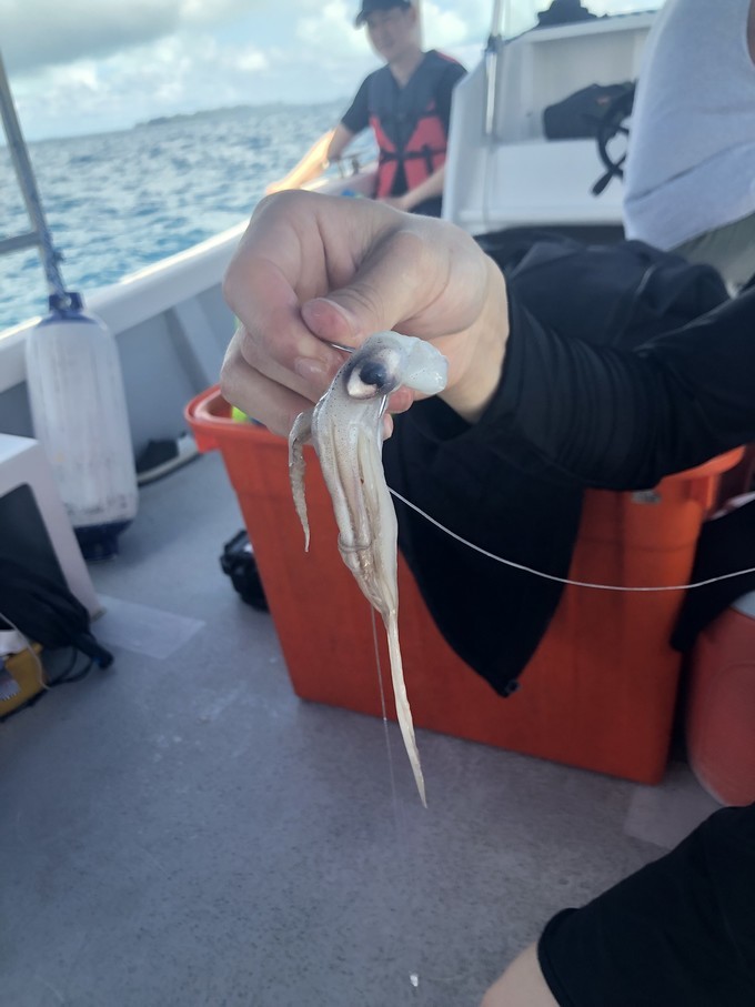 帕劳的海景风光给人美的享受,帕劳的海洋和沙滩风景图片