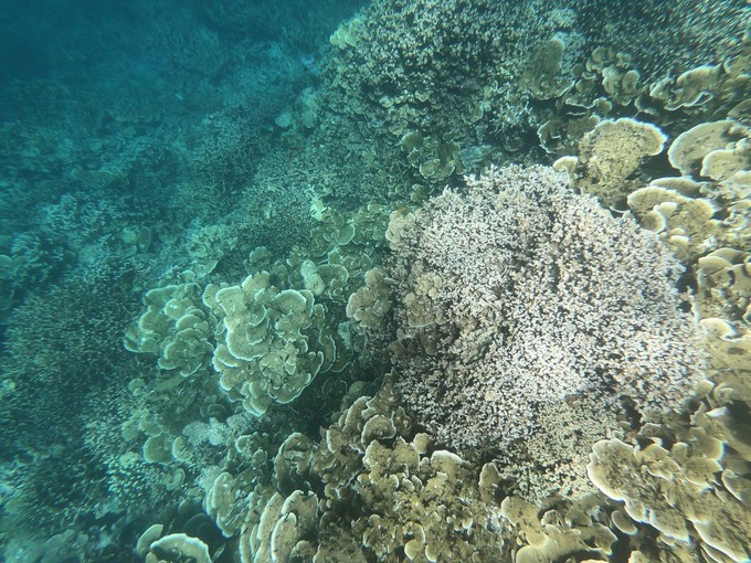 帕劳的海景风光给人美的享受,帕劳的海洋和沙滩风景图片