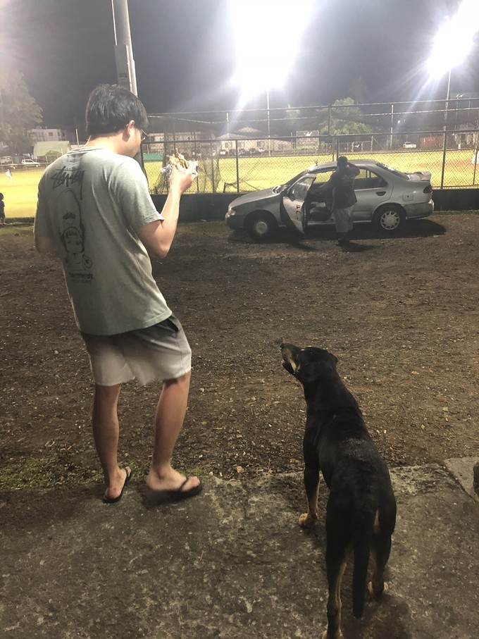 帕劳的海景风光给人美的享受,帕劳的海洋和沙滩风景图片