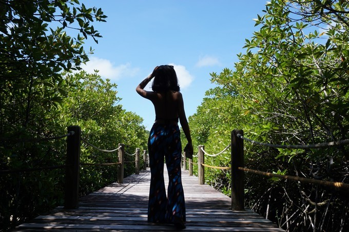 帕劳的海景风光给人美的享受,帕劳的海洋和沙滩风景图片