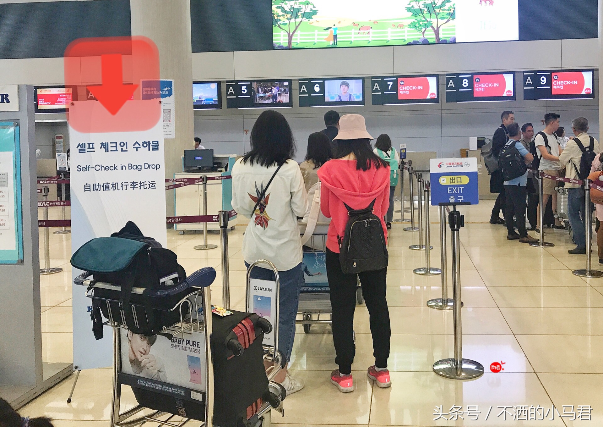 济州岛自由行包车旅游攻略图,济州岛自驾租车攻略