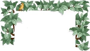 整形医院年中钜惠福利活动,整形美容周年庆探店