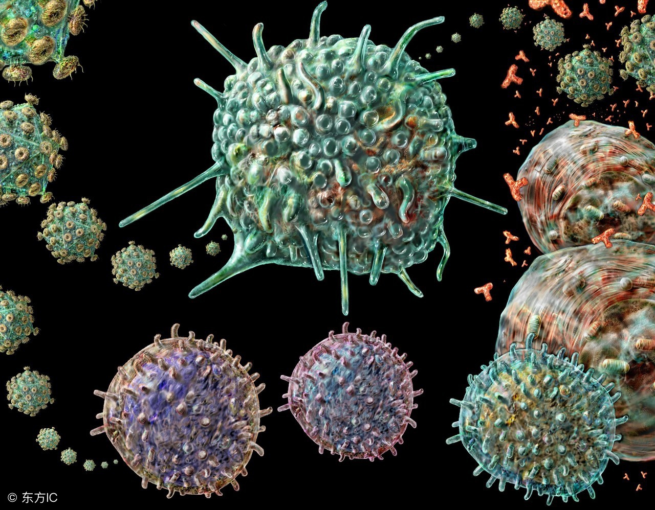 传播正能量算不算盗用,游泳池里的水会传染乙肝吗