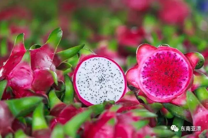 椰色果、红毛丹、牛奶国，到越南旅游必吃的水果有木有！