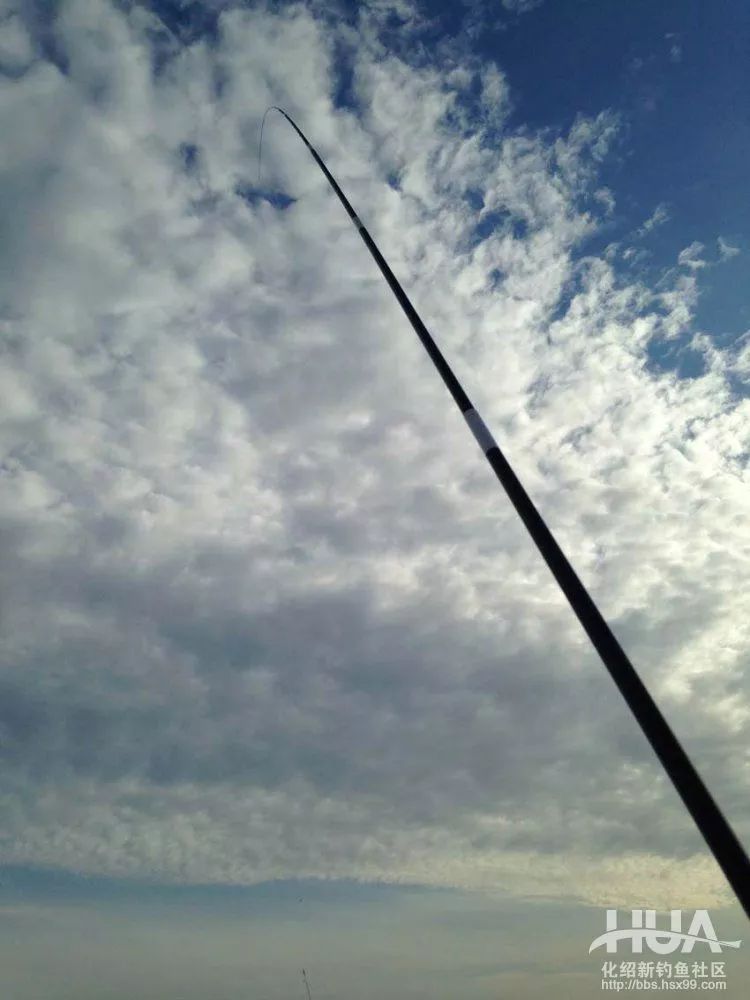 大风天水库钓鲫鱼,大风天在水库野钓视频