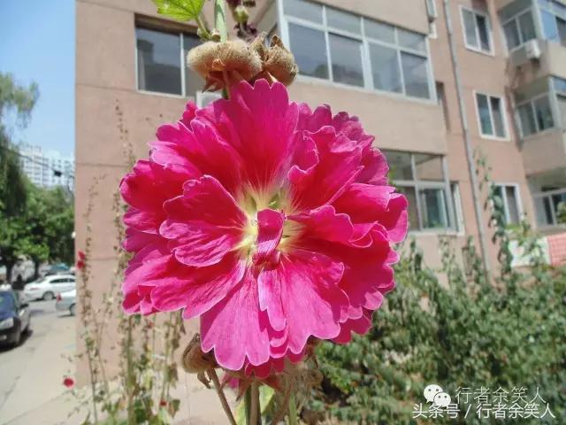 画册：《秦皇岛足球行》（旅行足球两相融）——漫行者余笑人