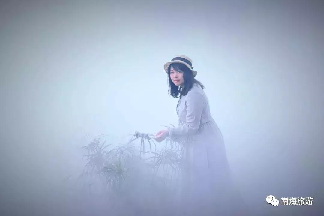 紫色薰衣草海+五彩摩天轮！南海这里充满异国风情如电影般唯美！