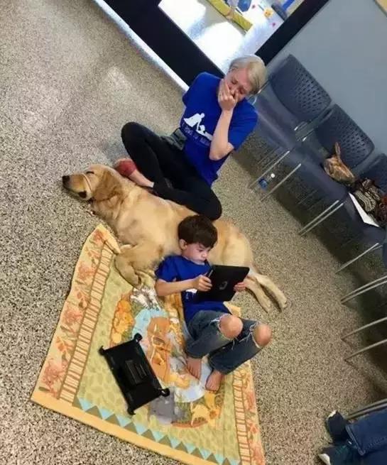 这个蓝星人都治不好的“绝症”，让狗狗给治好了