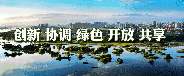 略阳县范卫民,略阳县委书记范卫民