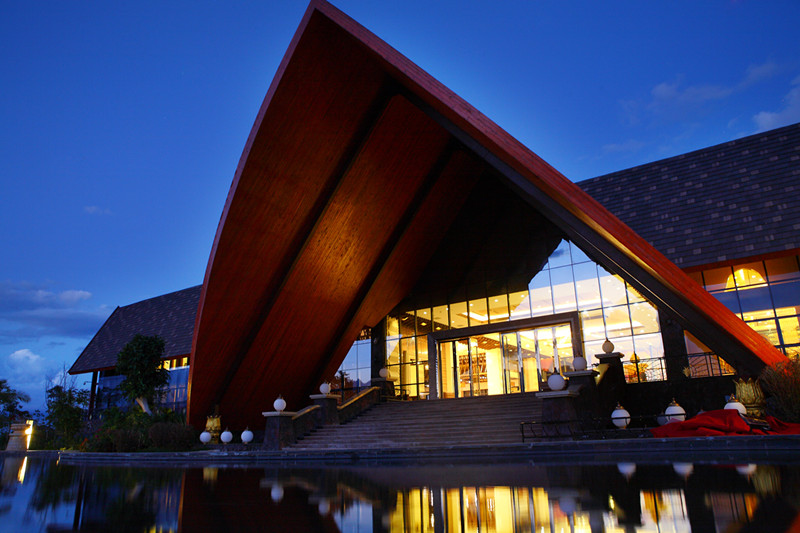 探寻800年古树普洱茶的神秘魅力,探寻古树普洱茶