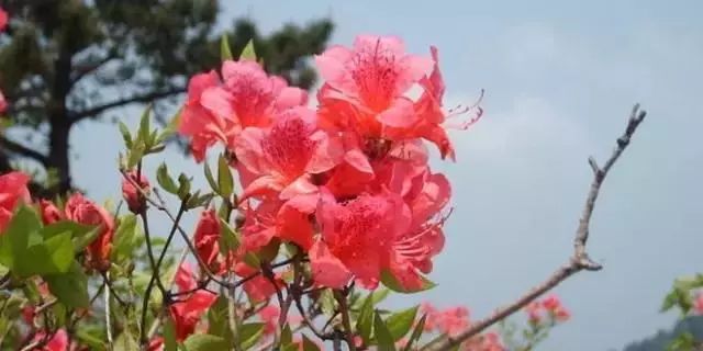 西安小众旅游,西安小众避暑胜地