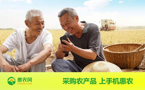 乡村振兴电商助农新闻稿,农民电商惠农助力乡村振兴