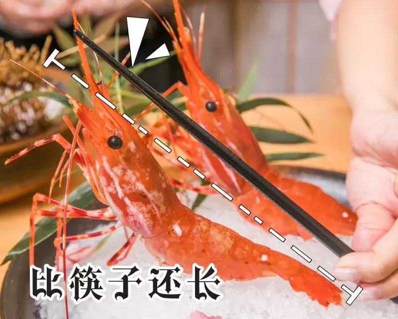 上海米其林一星日料,东京日料米其林一星