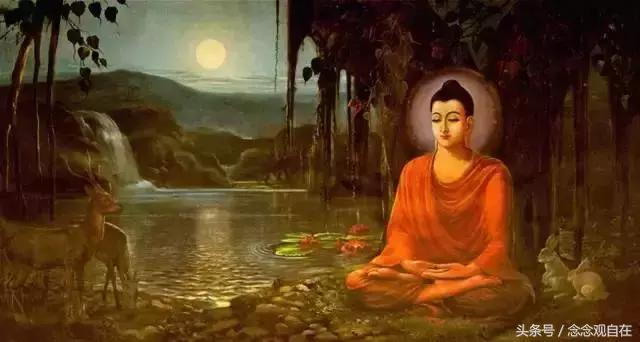 佛弟子为什么要远离发脾气的人,佛弟子要远离杀生的人