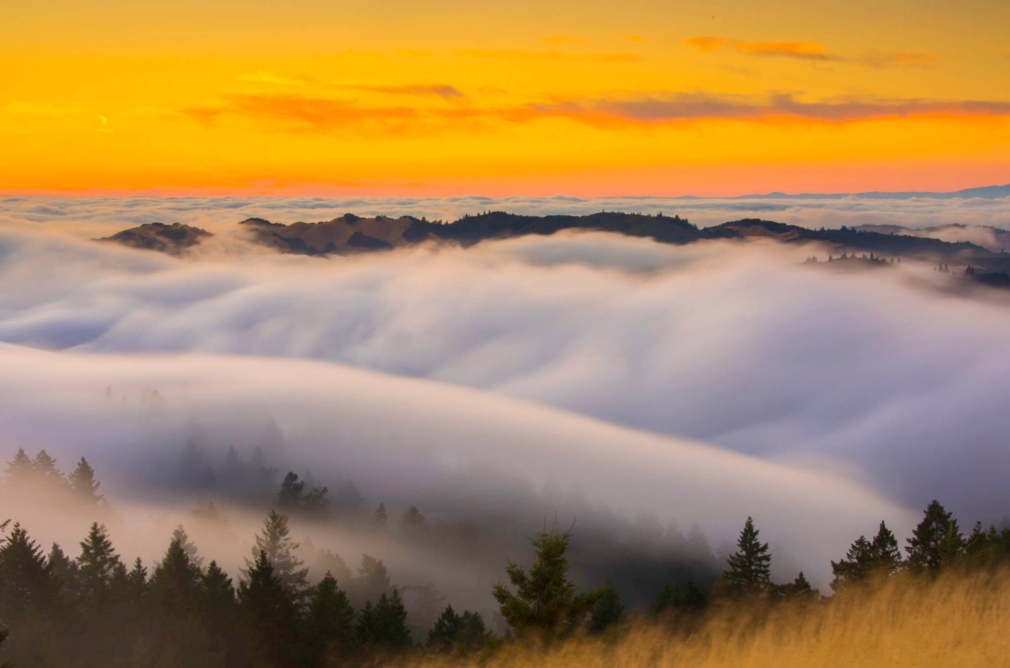 励志的名言名句或者古诗,励志的古诗词名言警句