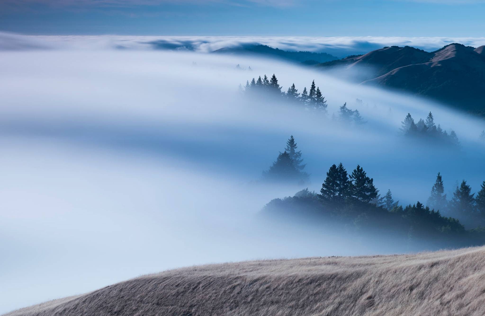 励志的名言名句或者古诗,励志的古诗词名言警句