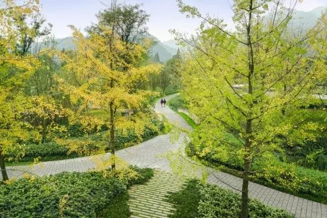 六善青城山景区,青城山六善